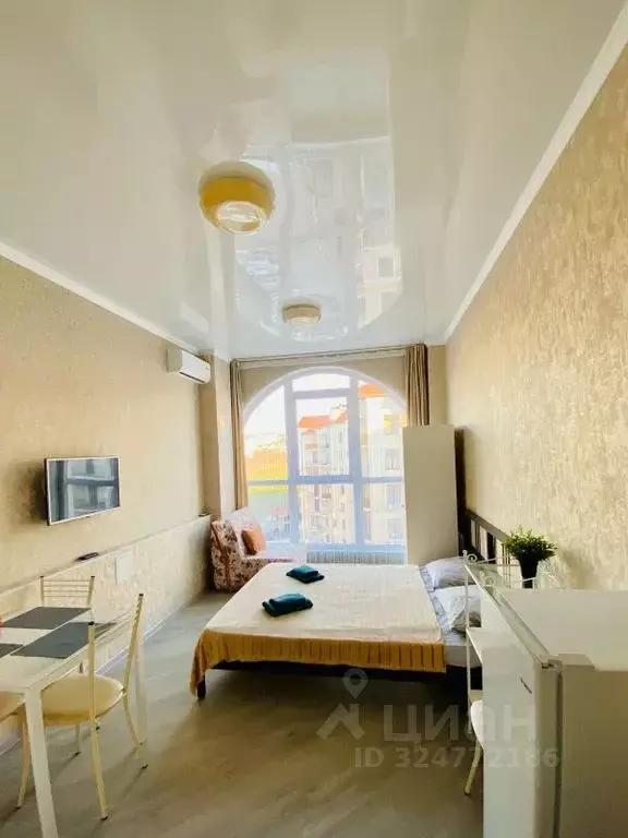Студия Краснодарский край, Геленджик Крымская ул., 22к1 (27.0 м) - Фото 1