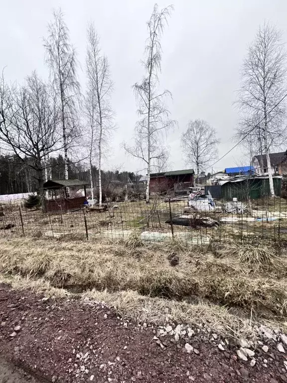 Участок в Ленинградская область, Ломоносовский район, Горбунковское ... - Фото 1