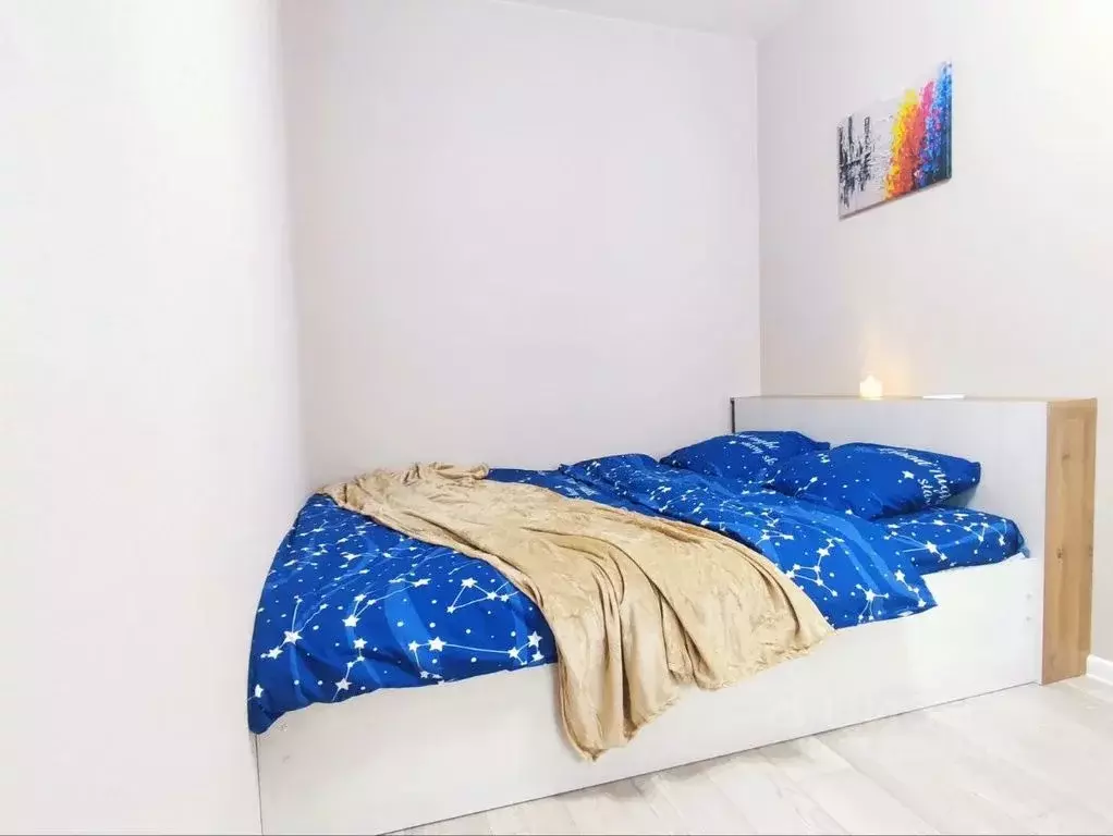 1-к кв. Татарстан, Набережные Челны ул. Шамиля Усманова, 18А (24.0 м) - Фото 1