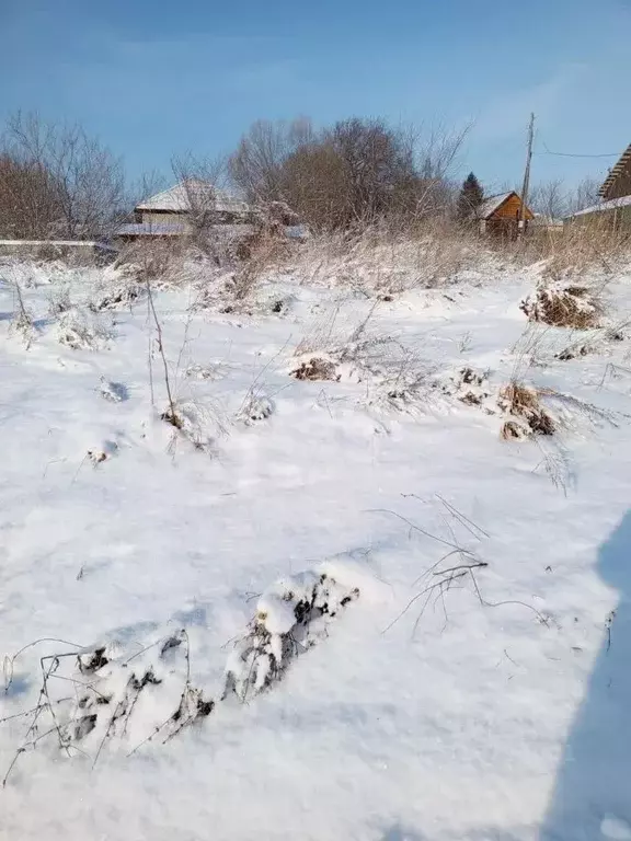 Участок в Алтайский край, Алтайский район, с. Алтайское ул. Вишневая ... - Фото 0