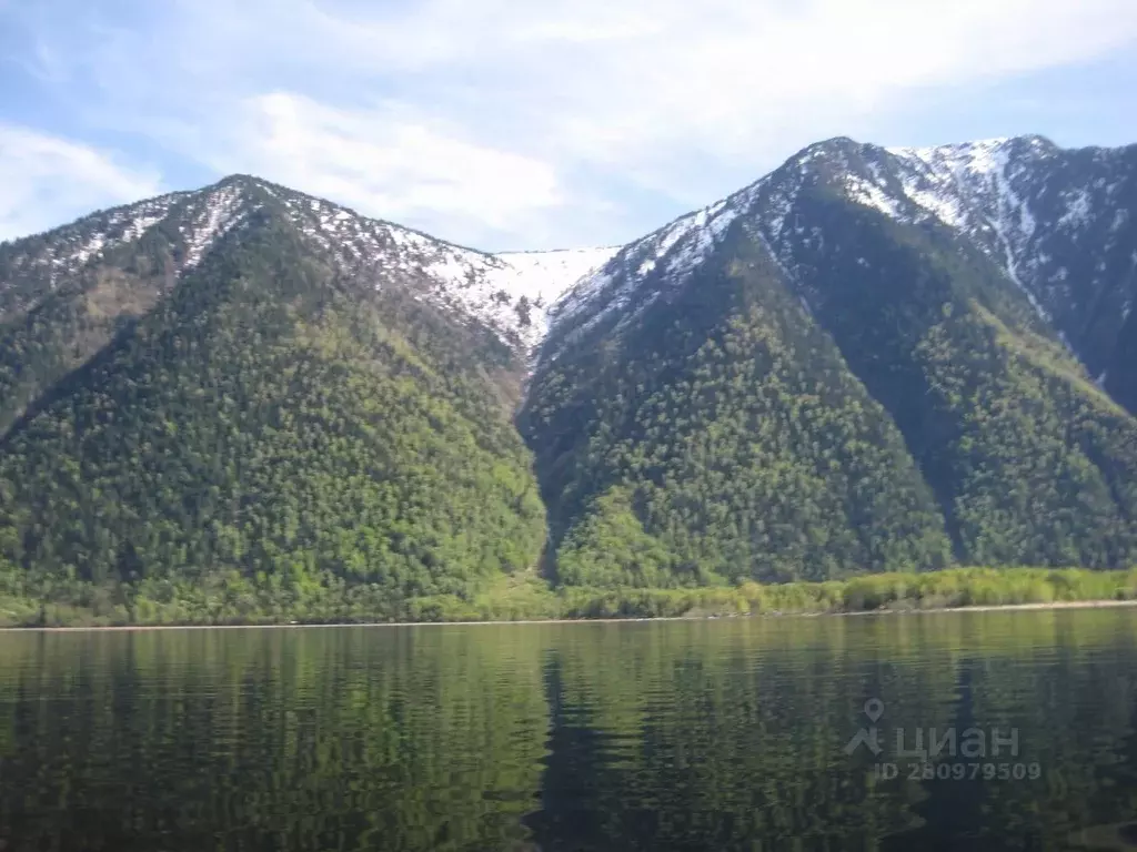 Участок в Алтай, Турочакский район, с. Артыбаш  (10.0 сот.) - Фото 1