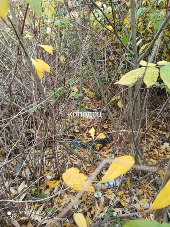 Дом в Нижегородская область, Кстово ул. Третья, 15 (62 м) - Фото 2