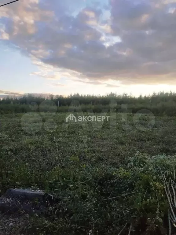 Участок 15 сот. (ИЖС) - Фото 0