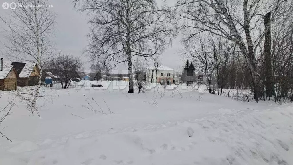 Участок в Барышевский сельсовет (10.08 м) - Фото 0