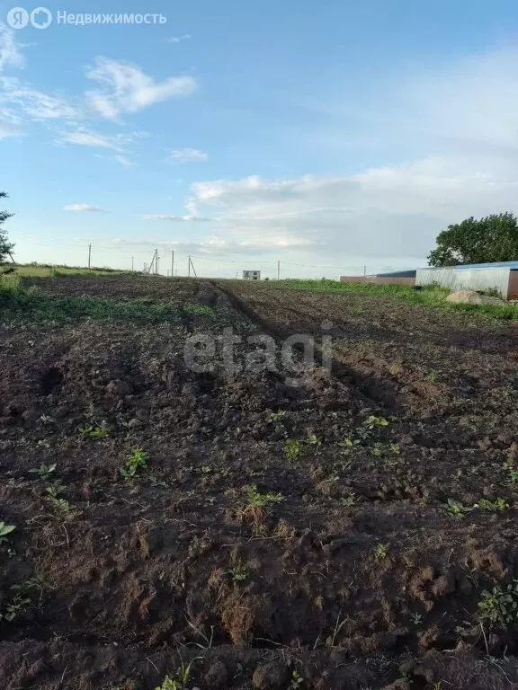 участок в село берёзово, приозёрная улица (50 м) - Фото 1