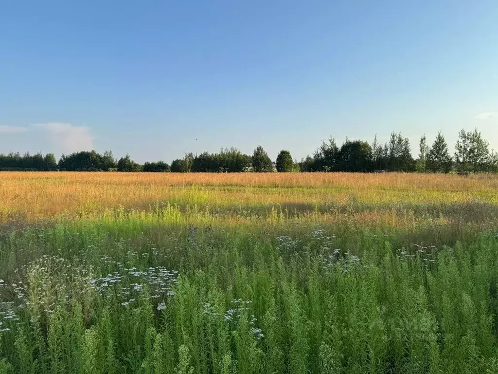 Участок в Ленинградская область, Кировский район, Суховское с/пос, ... - Фото 2