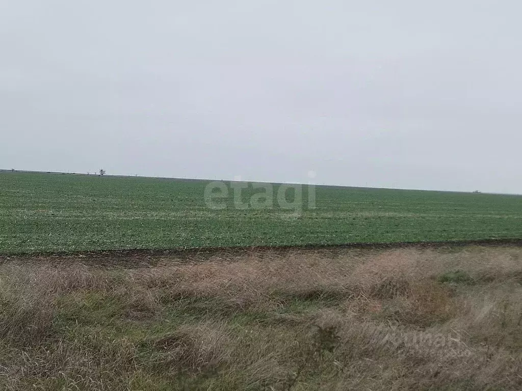 Участок в Крым, Ленинский район, Семисотское с/пос, с. Каменское ул. ... - Фото 1