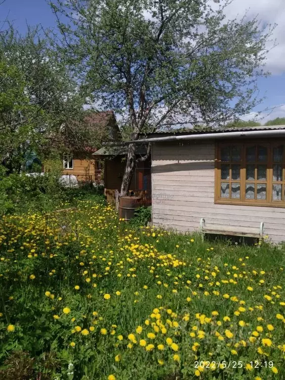 Участок в Московская область, Серпухов городской округ, д. Лукьяново ... - Фото 0