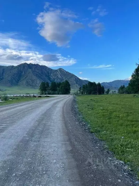 Участок в Алтай, Онгудайский район, с. Каракол ул. Г.А Чунжекова ... - Фото 2
