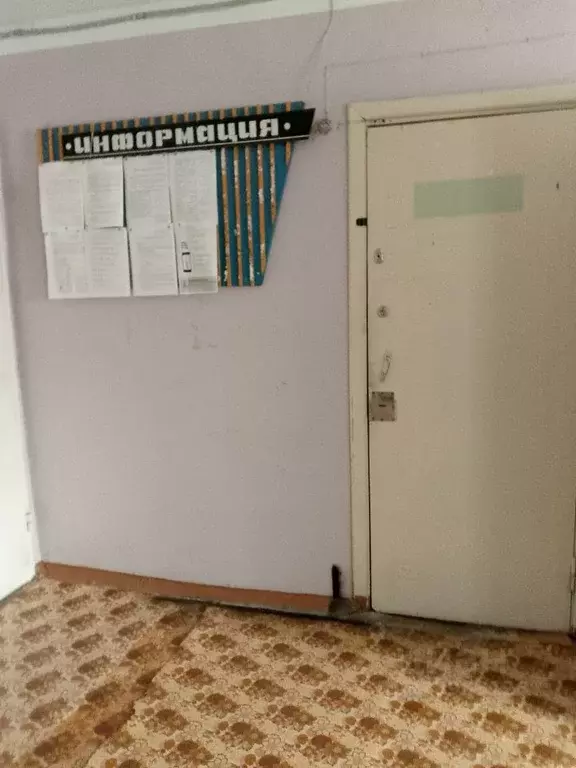 Помещение свободного назначения в Забайкальский край, Шилкинский ... - Фото 1