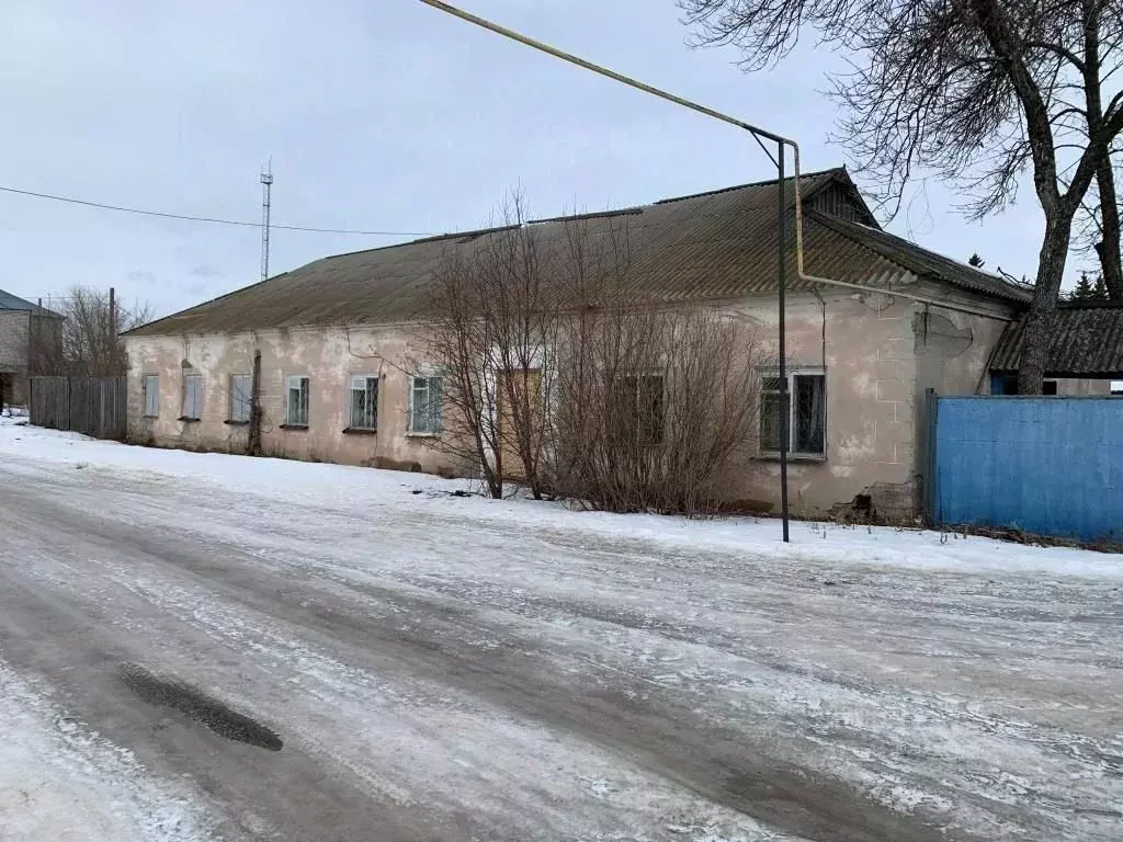 Помещение свободного назначения в Ульяновская область, Радищево рп ул. ... - Фото 0