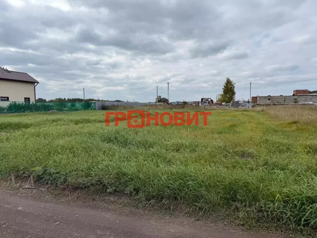 Участок в Новосибирская область, Новосибирский район, Верх-Тулинский ... - Фото 1