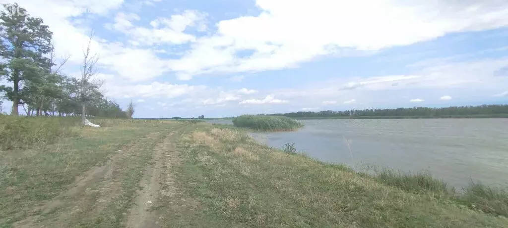 Участок в Щербиновский район, станица Новощербиновская (50 м) - Фото 0