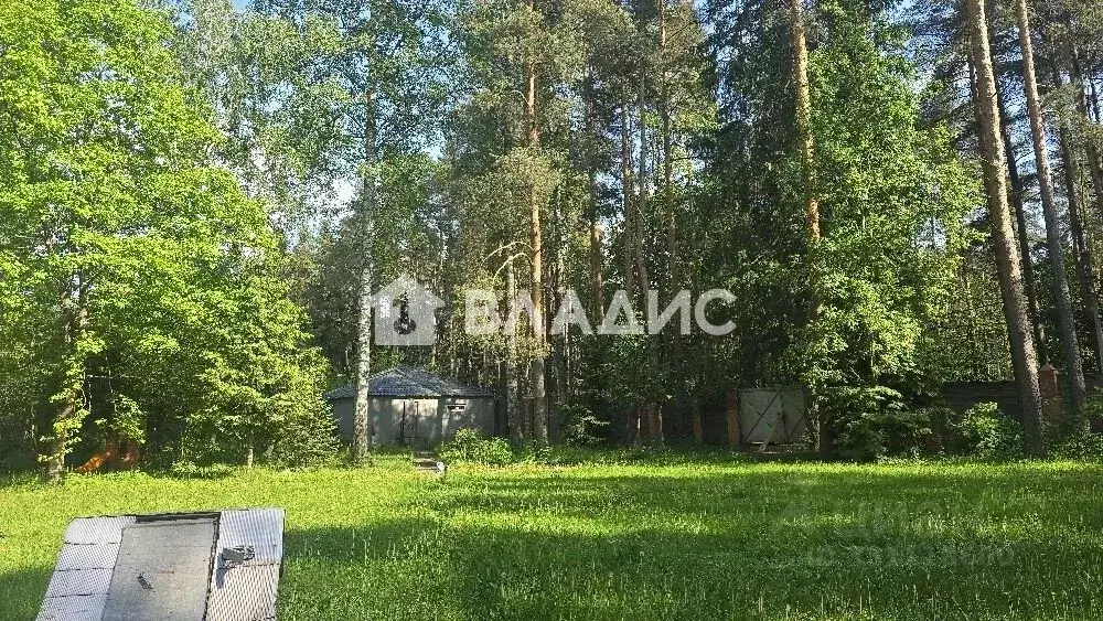 Участок в Ленинградская область, Всеволожск ул. Ломоносова (16.0 сот.) - Фото 1