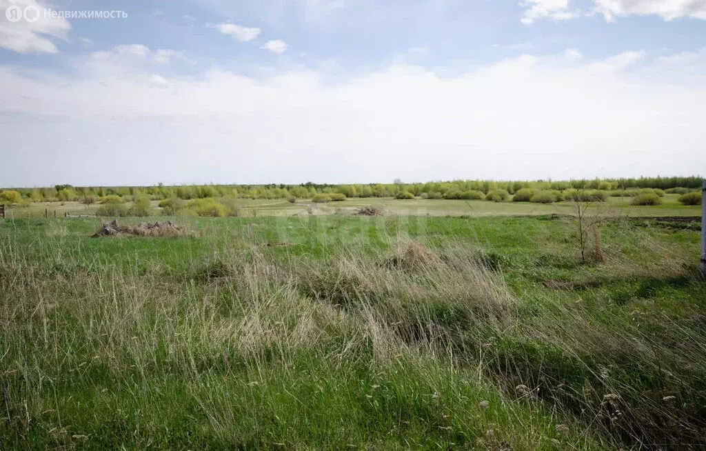 Участок в Тюменская область, Упоровский муниципальный округ, село ... - Фото 1