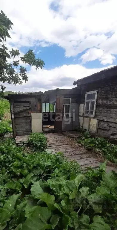 Дом в Кемеровская область, Прокопьевск Прокопьевская ул., 7 (35 м) - Фото 1