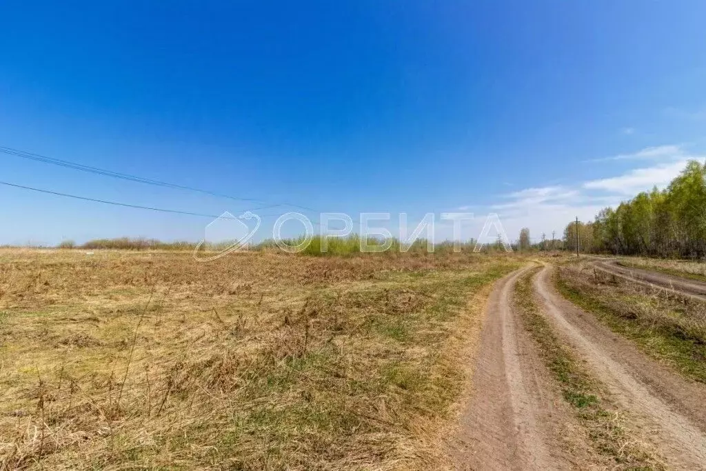 Участок в Тюменская область, Тюменский муниципальный округ, с. ... - Фото 2