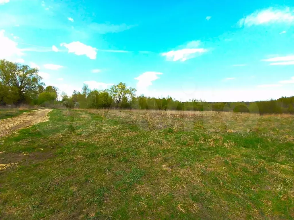 Участок 8 сот. (личное подсобное хозяйство (лпх)) - Фото 1