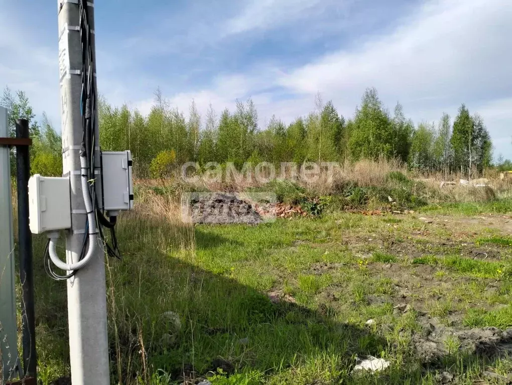 Участок в Тюменская область, Тюмень СОСН Березка-3 тер., ул. 13-я ... - Фото 1