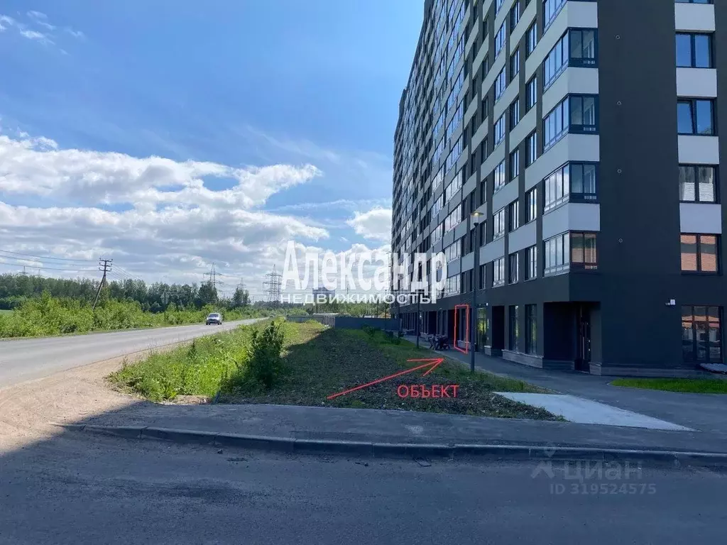 Торговая площадь в Санкт-Петербург пос. Парголово, дор. Михайловская, ... - Фото 1