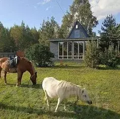 Дом в Ярославская область, Борисоглебское с/пос, д. Ново 9 (90 м) - Фото 0