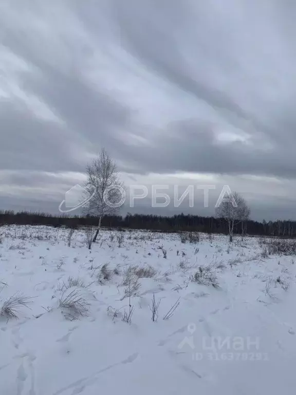 Участок в Тюменская область, Тюменский район, д. Решетникова  (240.0 ... - Фото 0