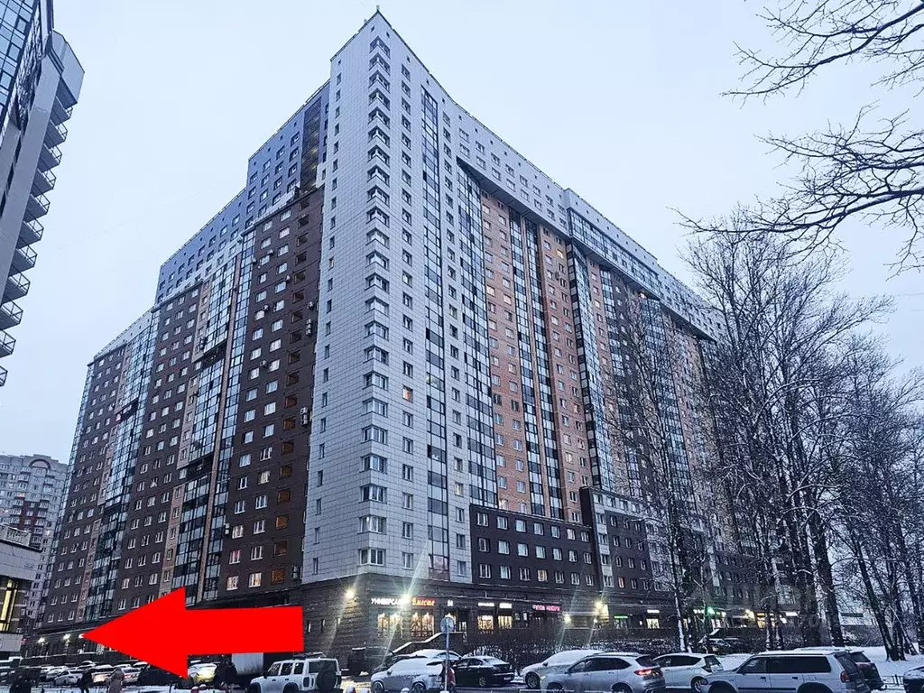 Помещение свободного назначения в Санкт-Петербург просп. Космонавтов, ... - Фото 1