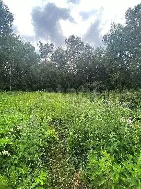 Участок в село Дзержинское, Зелёная улица (15 м) - Фото 1