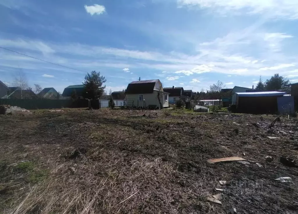 Участок в Московская область, Клин городской округ, Дружба садовое ... - Фото 1