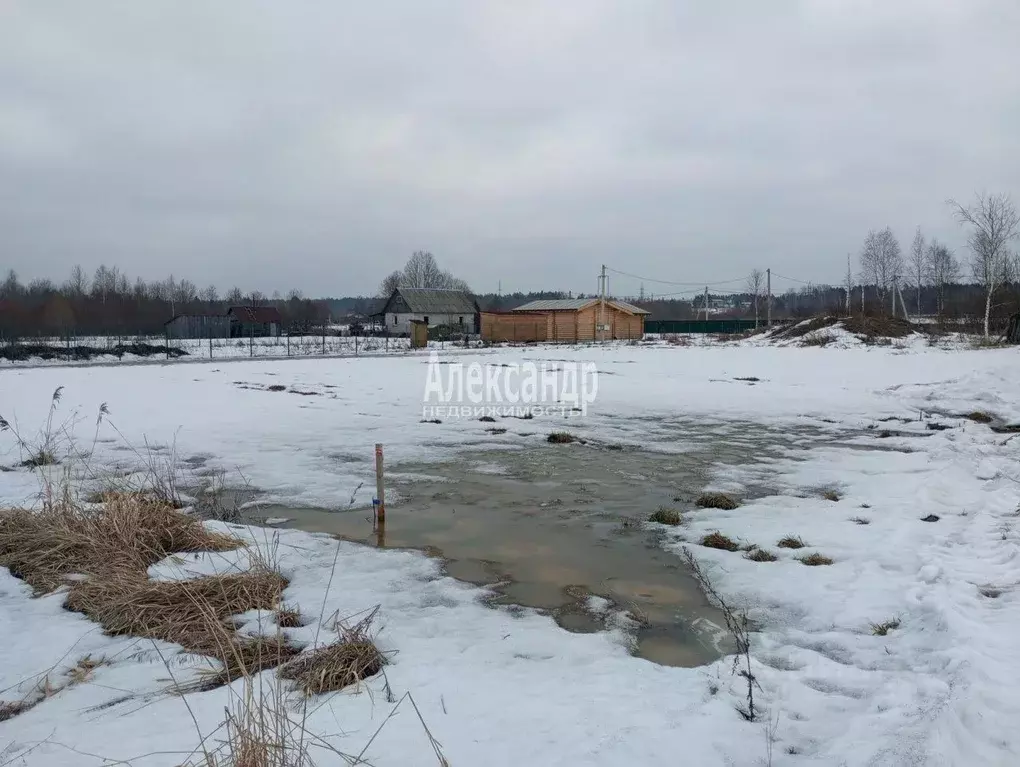 Участок в Ленинградская область, Приозерский район, Ромашкинское ... - Фото 0