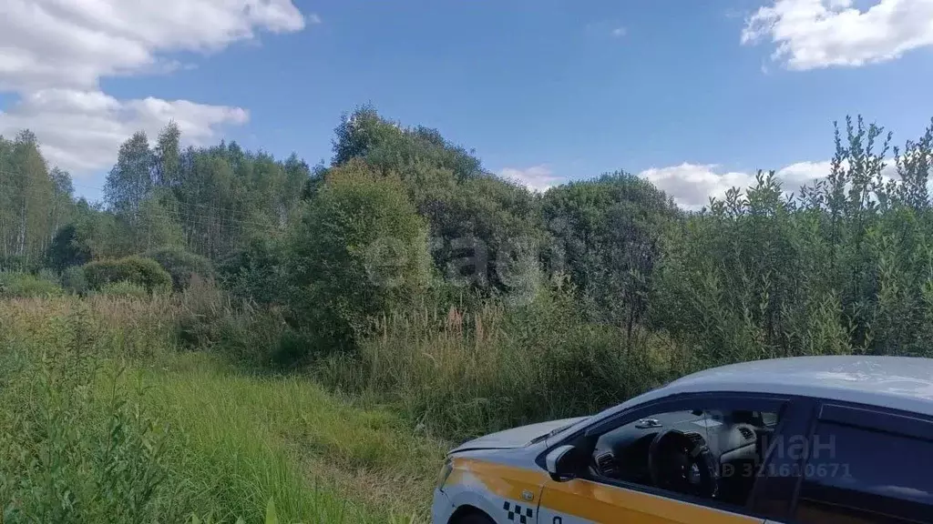 Участок в Калужская область, Медынь ул. Березовая (10.0 сот.) - Фото 2