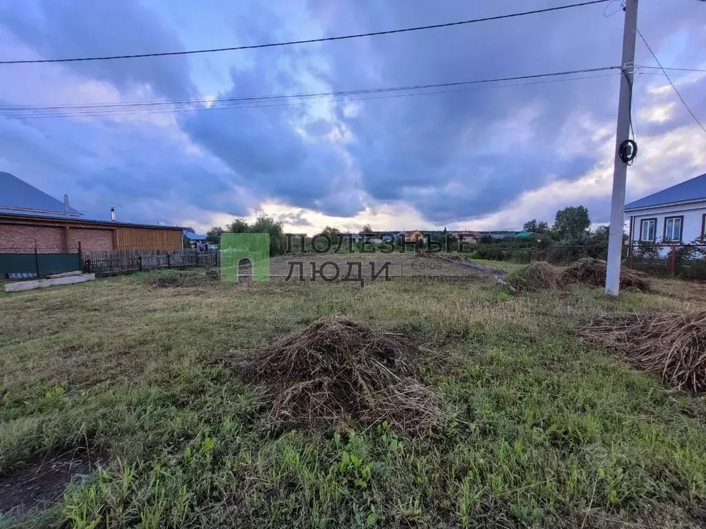 Участок в Томская область, Шегарское с/пос, с. Мельниково ул. ... - Фото 1