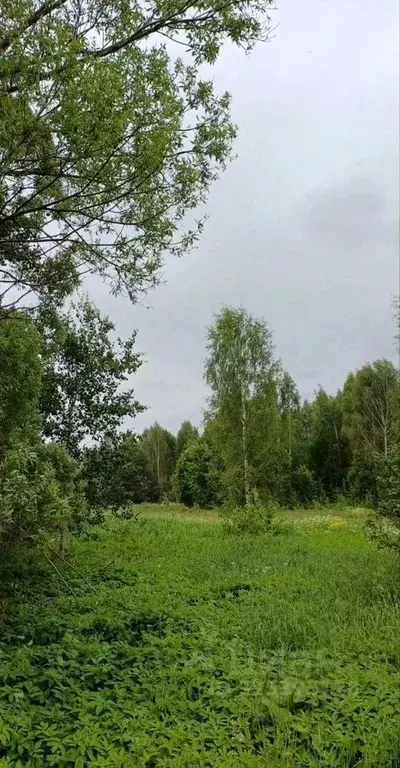 Участок в Тверская область, Калязинский муниципальный округ, д. Устье  ... - Фото 1