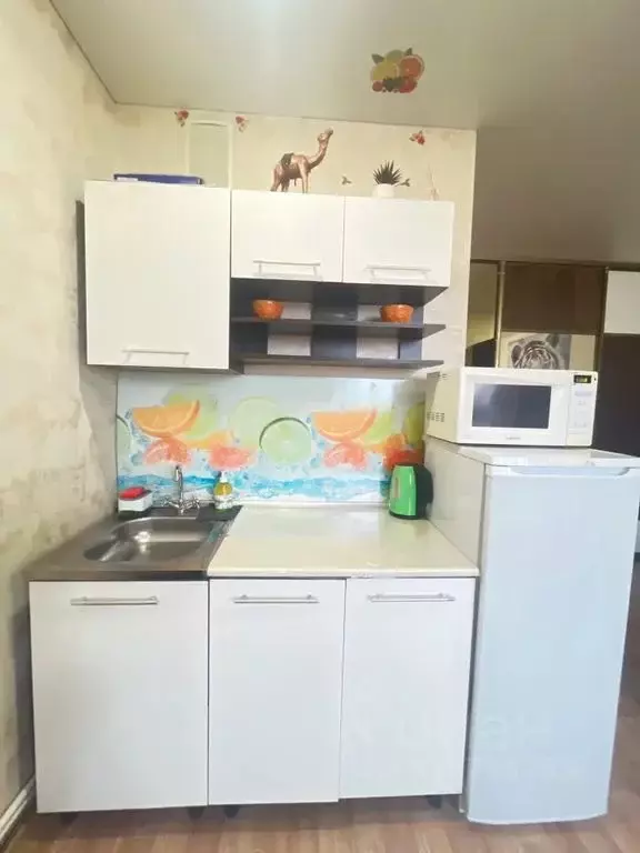 Студия Челябинская область, Чебаркуль ул. Карпенко, 2 (30.0 м) - Фото 1