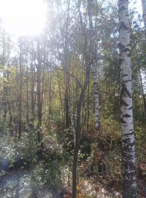 Участок в Московская область, Электрогорск Павлово-Посадский городской ... - Фото 0