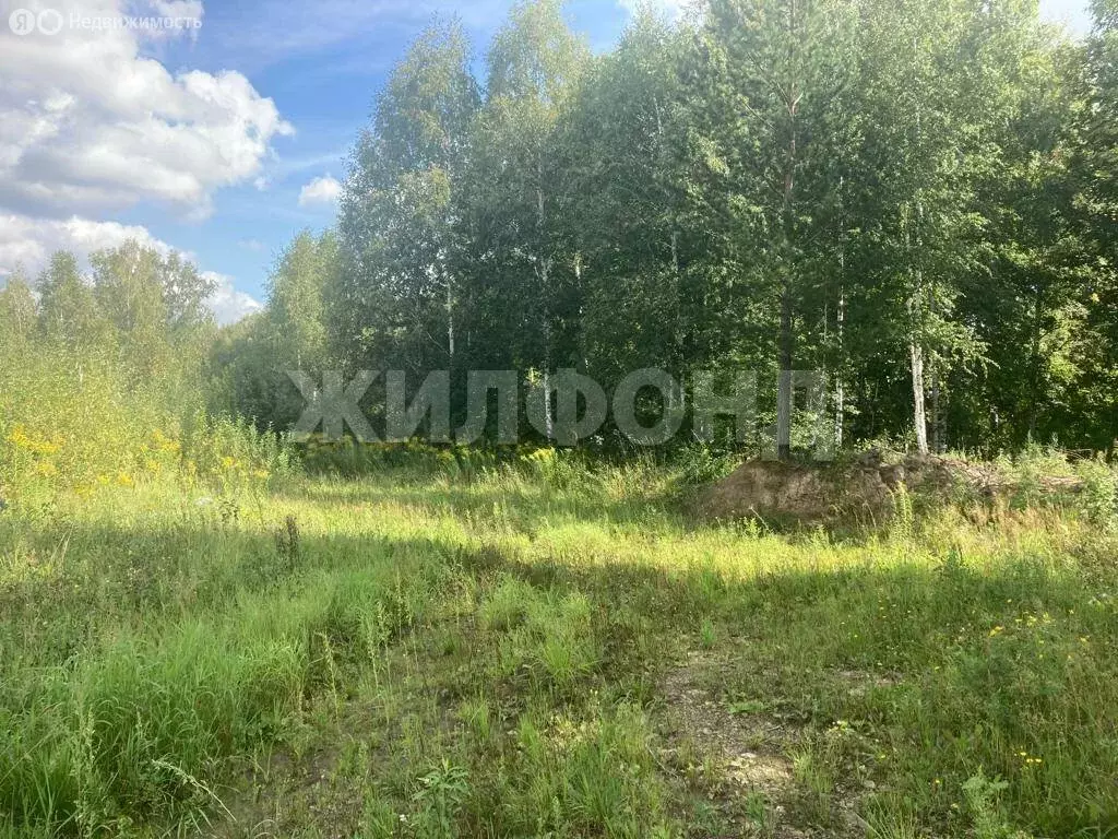 Участок в Новолуговской сельсовет, НСТ Энергия-5 (6 м) - Фото 2