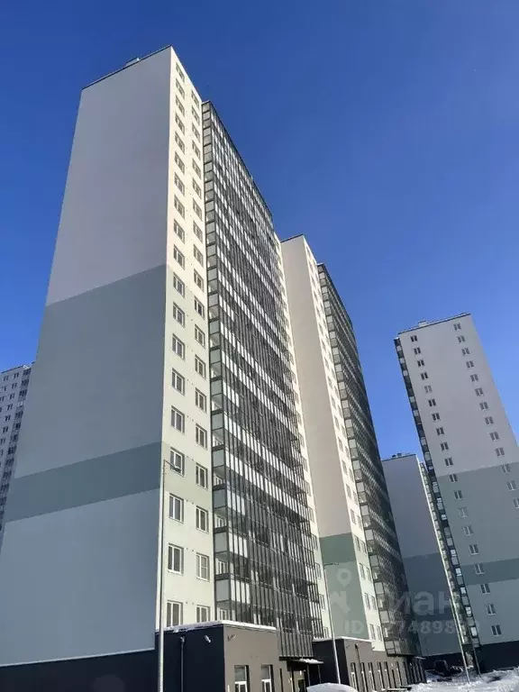 Студия Санкт-Петербург ул. Пахомовская, 21 (17.5 м) - Фото 1