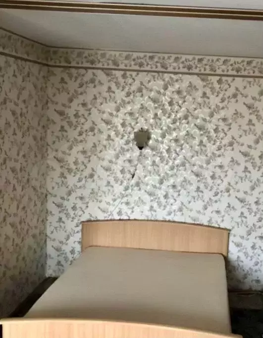 Дом 36 м на участке 4 сот. - Фото 1