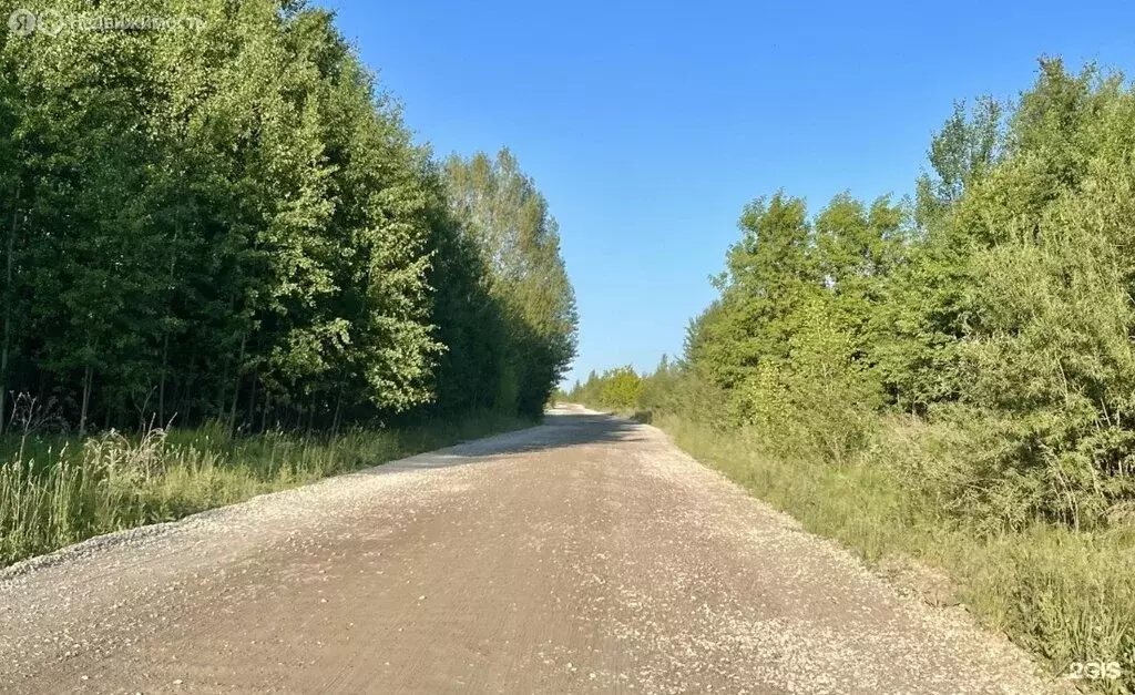 Участок в Пермь, СНТ Оборинское (9.8 м) - Фото 1