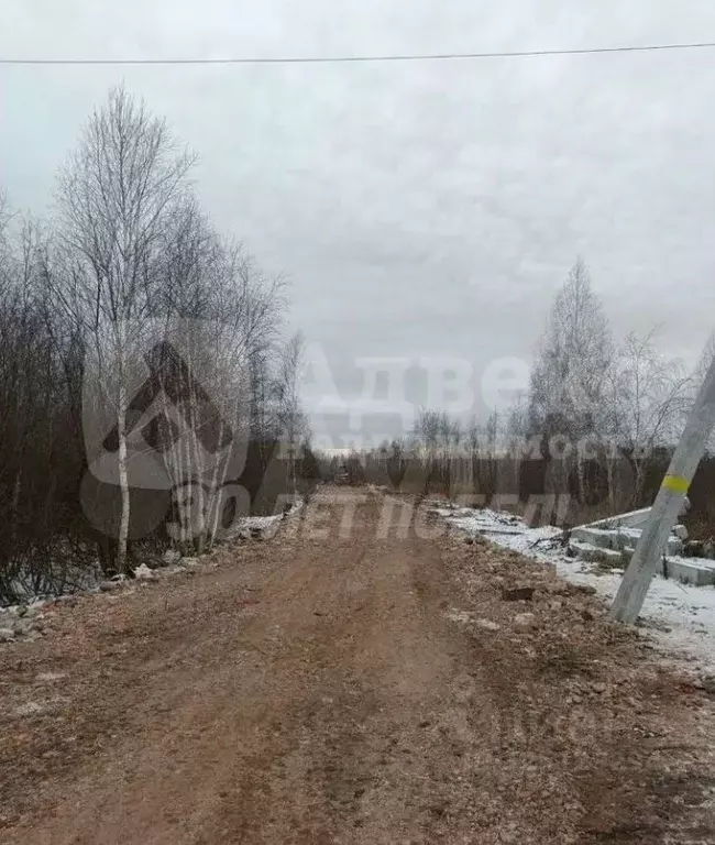 Участок в Тюменская область, Нижнетавдинский муниципальный округ, ... - Фото 2