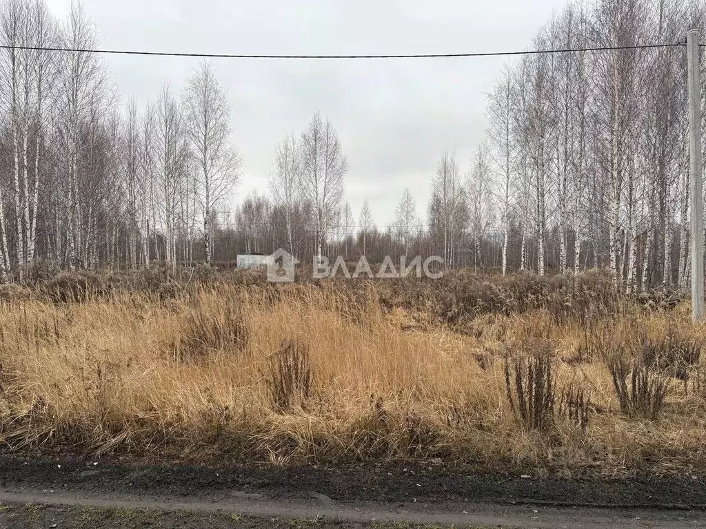 Участок в Пензенская область, Пенза ул. Велозаводская, 20 (6.0 сот.) - Фото 1