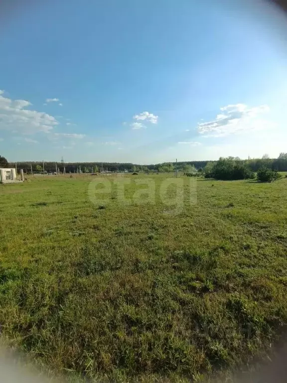 Участок в Белгородская область, Старооскольский городской округ, с. ... - Фото 2