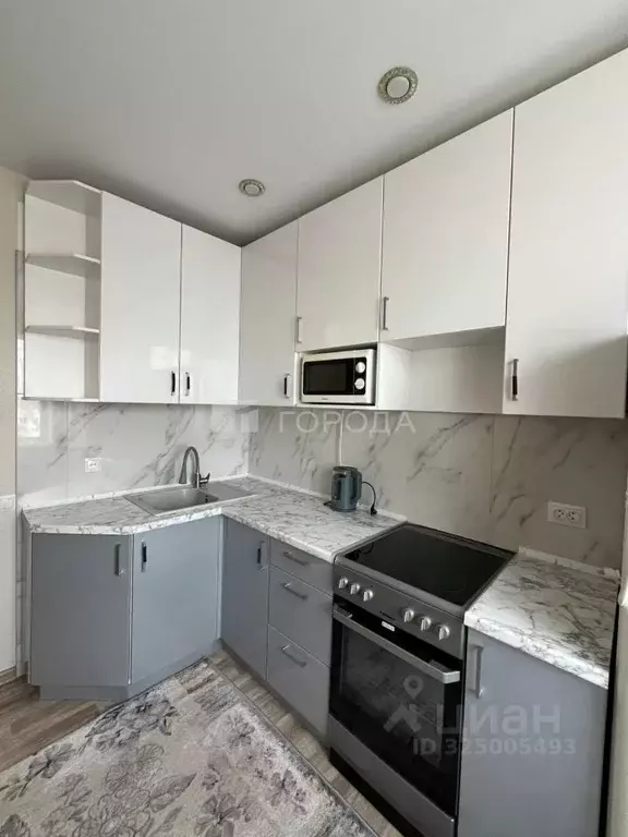 1-к кв. Алтайский край, Барнаул ул. Гущина, 163 (34.0 м) - Фото 2