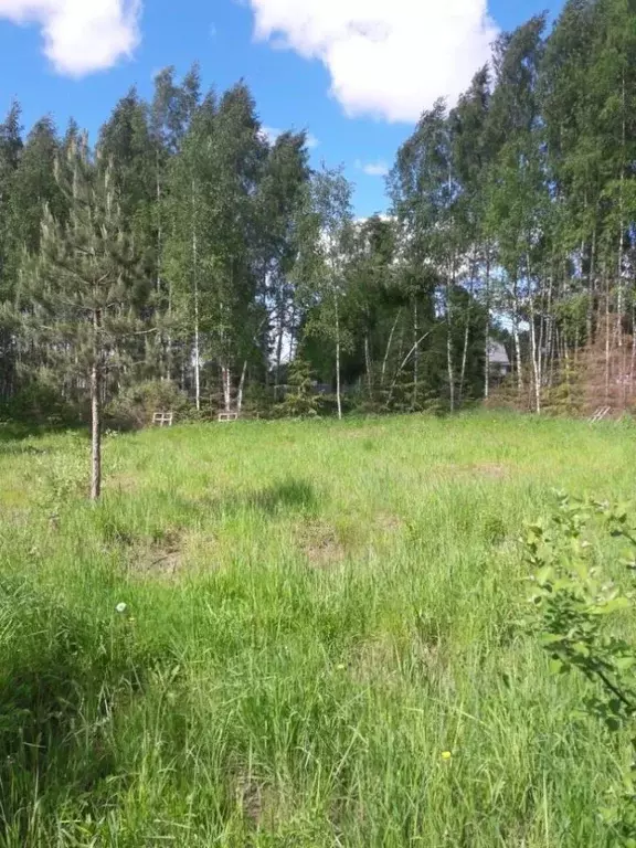 Участок в Московская область, Солнечногорск городской округ, Звездочка ... - Фото 2