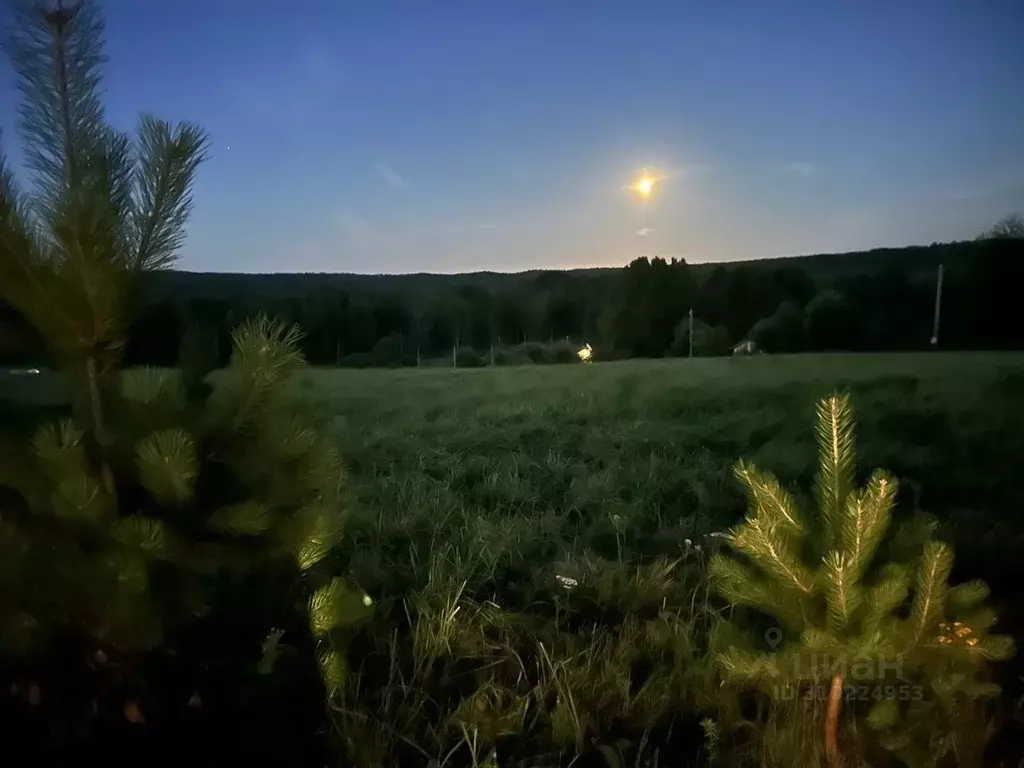 Участок в Ленинградская область, Выборгский район, Рощинское городское ... - Фото 0