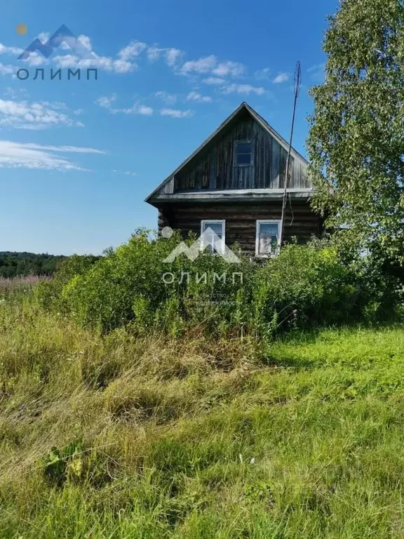 Дом в Вологодская область, д. Зуево  (47 м) - Фото 0