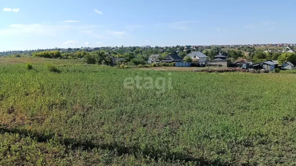 Участок в Белгородская область, Губкинский городской округ, с. Теплый ... - Фото 1