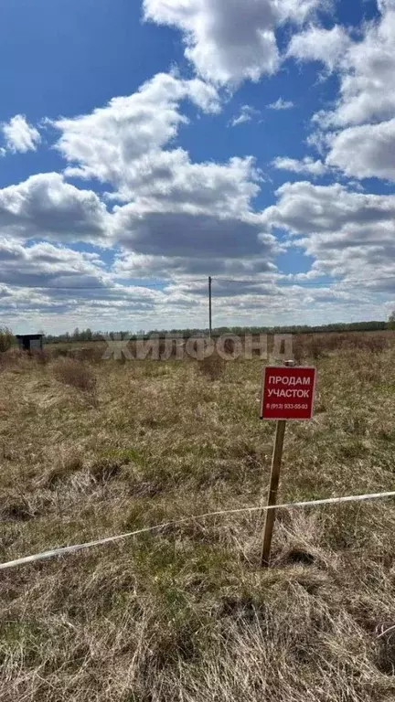 Участок в Новосибирская область, Ордынский район, с. Красный Яр ул. ... - Фото 1