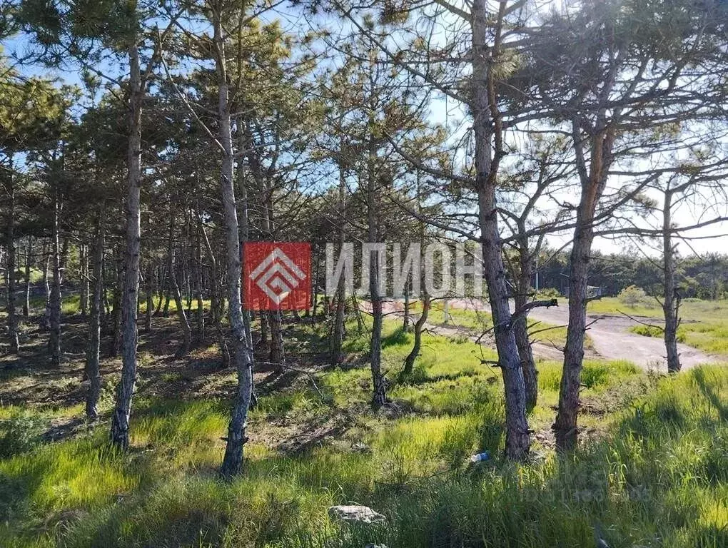 Дом в Севастополь Рябинушка садоводческое товарищество,  (95 м) - Фото 1