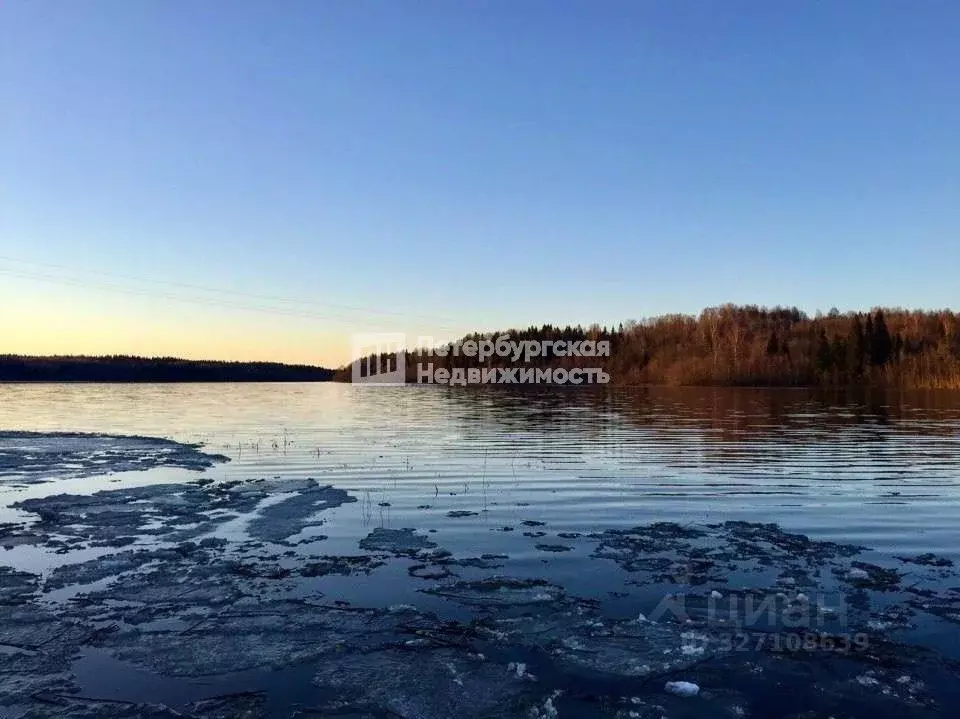 Участок в Новгородская область, Валдайский район, Рощинское с/пос, д. ... - Фото 1